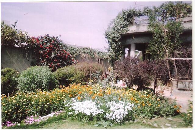 Binod Baba's kutir - 2