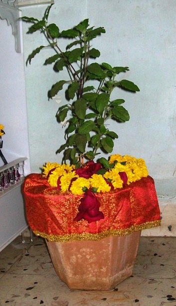 GourPurnima 025