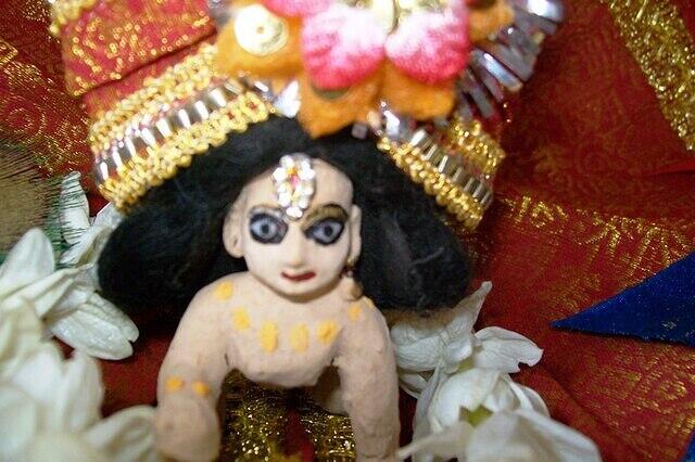 Close-up of Neelu