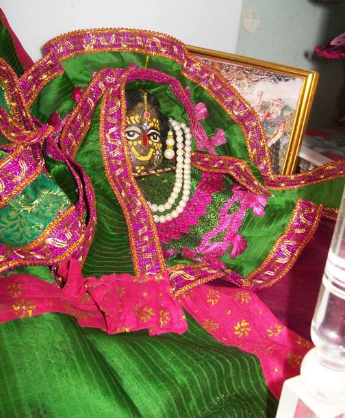 Giriraj (shy)