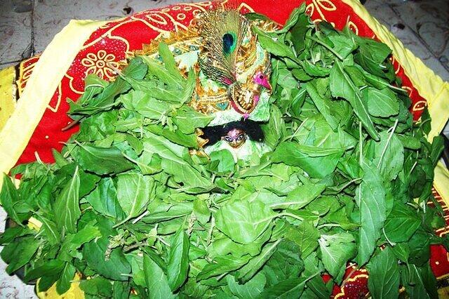 purushottam10 024