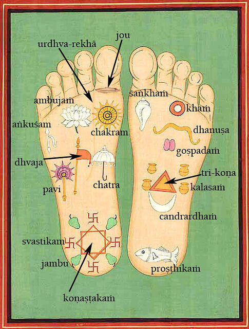 Sri Krishna's lotus feet