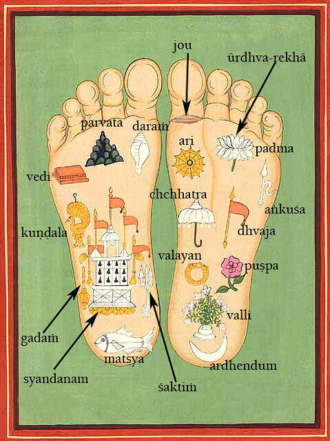 Sri Radha's lotus feet