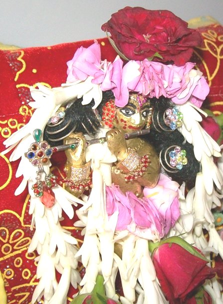 close-up of Gobindaji