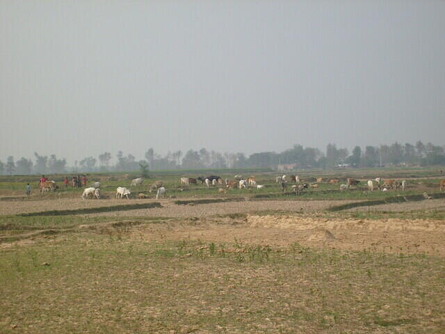 Aamar shonar bangla