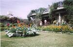 Binod Baba's kutir - 1