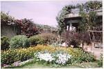 Binod Baba's kutir - 2