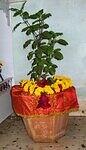 GourPurnima 025