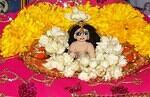 neelu