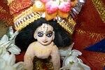 Close-up of Neelu