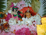 Chandan-yatra 2009