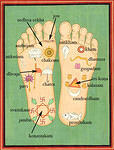 Sri Krishna's lotus feet