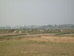 Aamar shonar bangla
