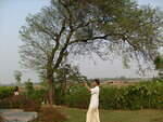 green green Bangla. 