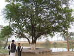 mmmm....a nice place for smaranam. 