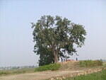Approaching Bhajan tala