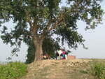 Getting closer to Bhajan tola