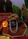 Rakhi throwing  golden light on Maharaj